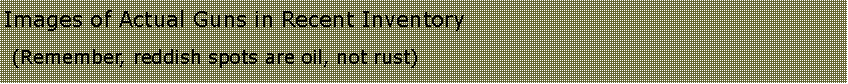 Text Box: Images of Actual Guns in Recent Inventory (Remember, reddish spots are oil, not rust)