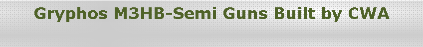 Text Box: Gryphos M3HB-Semi Guns Built by CWA